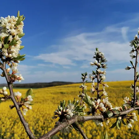 Haus Duenenweg App. 9 Daire