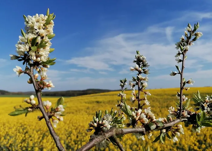 Haus Duenenweg App. 9 Apartmán